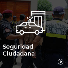 seguridad-cuidadana