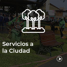 servicios_cuidad