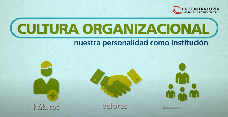 cultura organizacional