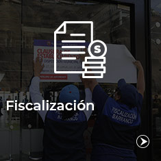 Fiscalizacion